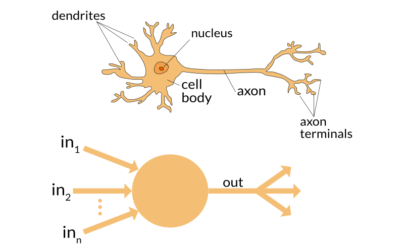 neuron.png